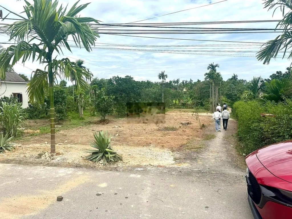 Mặt Tiền Đường Nhựa 31m - Đất Trung Tâm - Giá Cực Rẻ