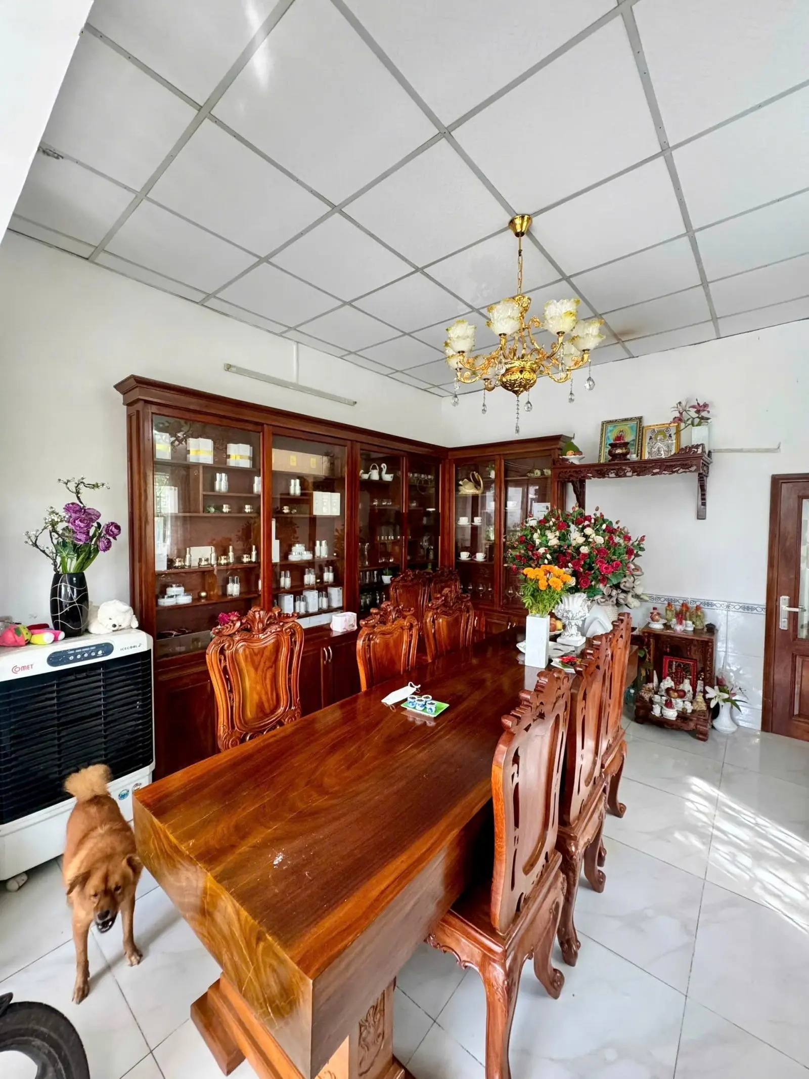 Hàng hiếm Thị Trấn Hóc Môn 170m - Đang KD spa- nhỉnh 4 tỷ