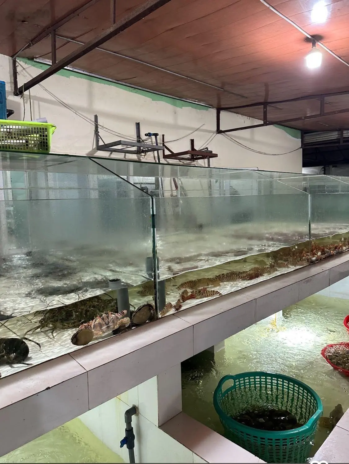 Bán 3538m2 đất TMDV kinh doanh nhà hàng ăn uống tại thị xã Bỉm Sơn