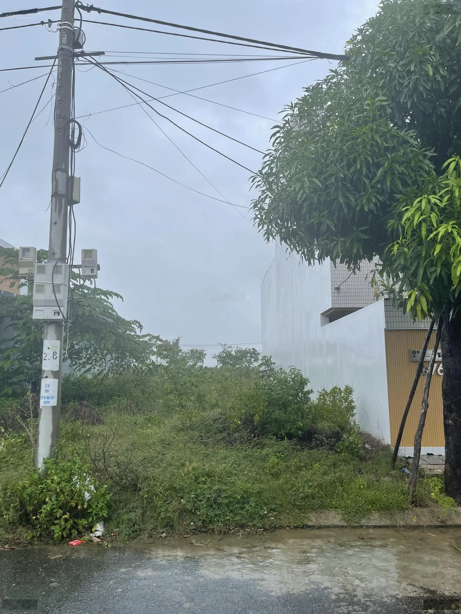 Đất đường Vân Đài Nữ Sĩ hướng Đông, Bá Tùng 2, Hòa Quý