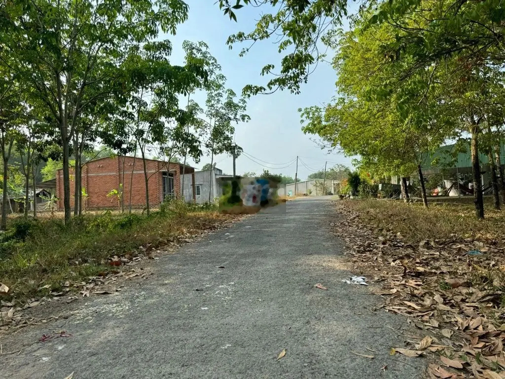 BÁN LÔ ĐẤT NGỘP CÓ THỔ NGAY THỊ TRẤN CHÂU THÀNH 1000M2/ chỉ 490trieu