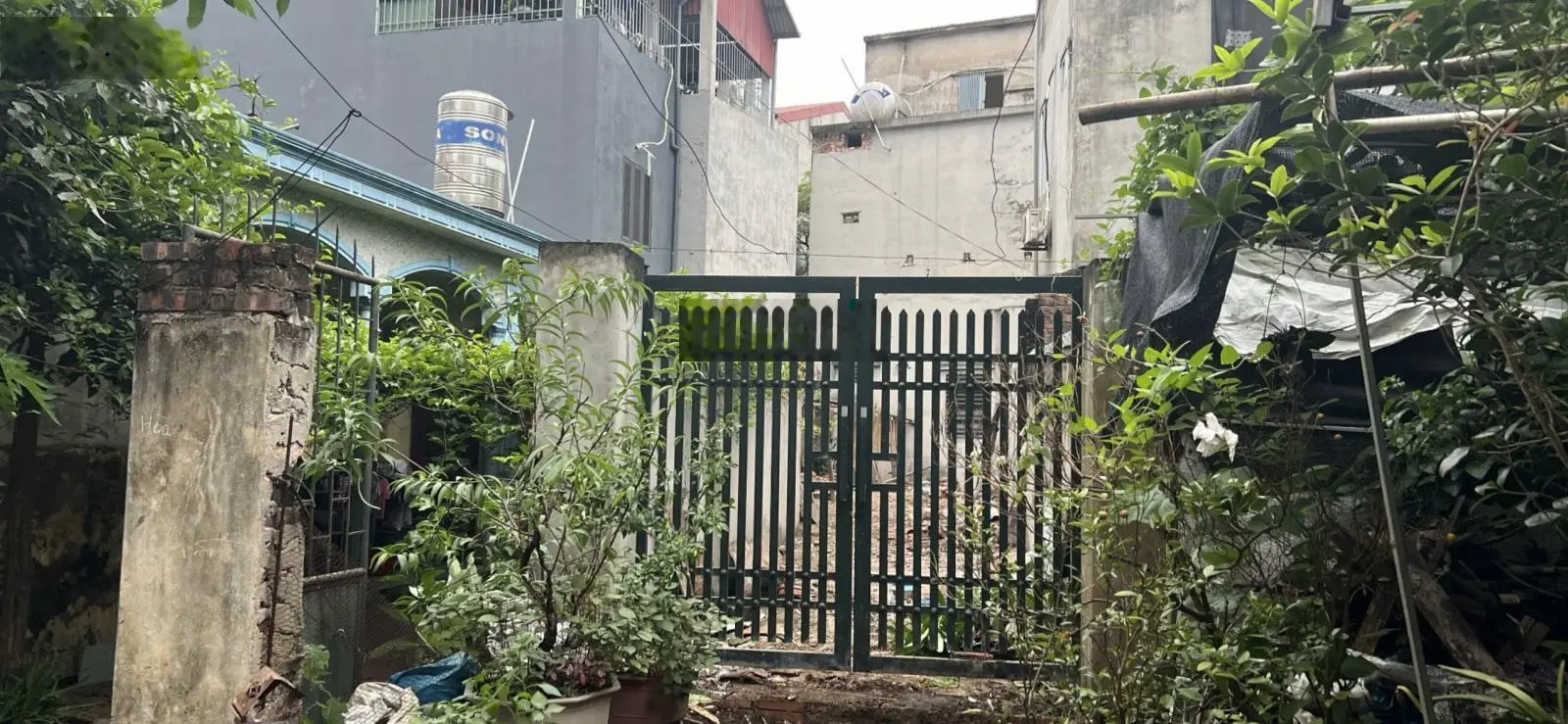 Bán Đất Bình Minh Trâu Quỳ oto vào đất 56m2 giá 3.8 tỷ