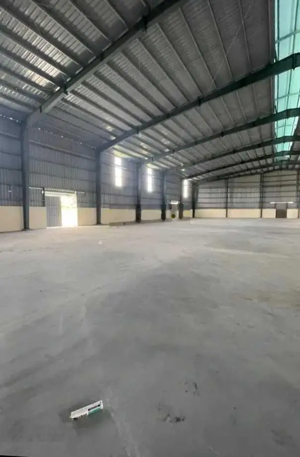 Bán dự án trồng rừng 2000 ha tại Lai Châu. Quế, giổi, mắc ca. LH: 0898 385 ***
