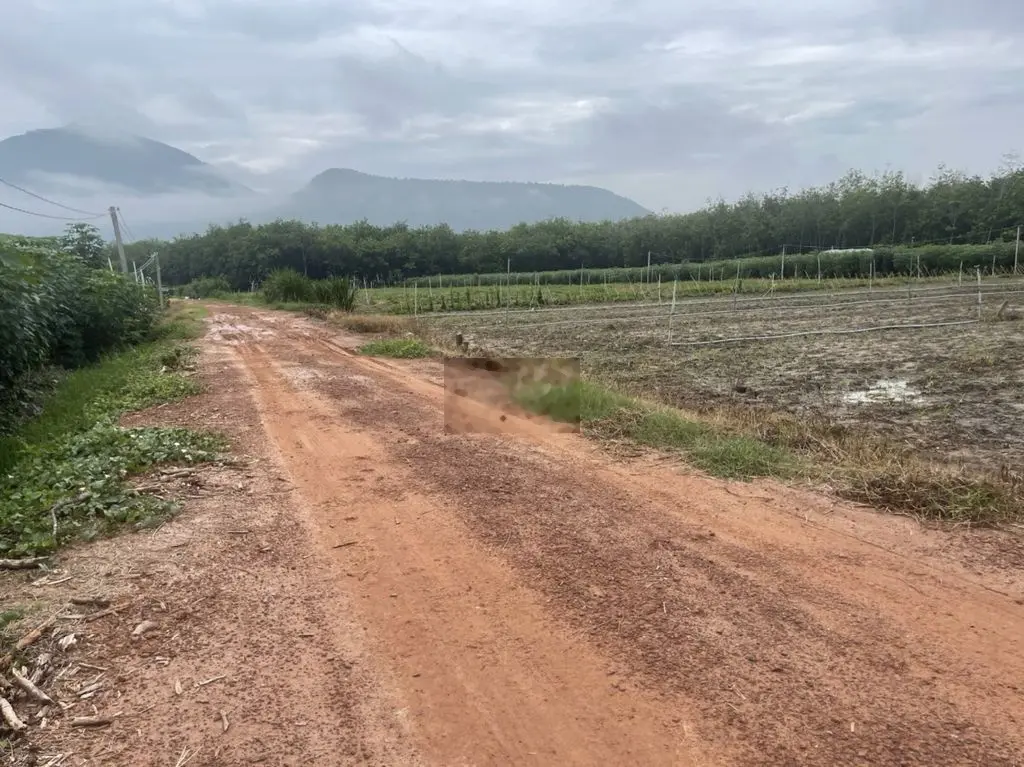 Thạnh Tân, Tp.Tây Ninh. Bán đất sào 20x52m CLN, Đường mở rộng. 850tr