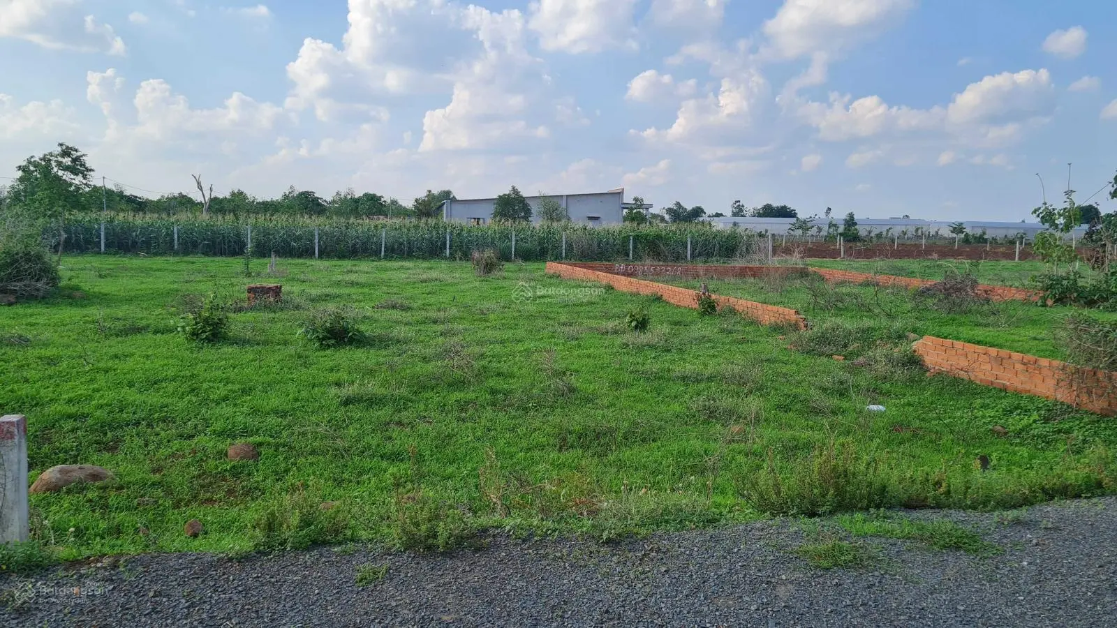 Đất ở ngang 10m dài 24,6m liền kề KCN Đất Đỏ, giá đầu tư thích hợp mua ở hoặc để dành