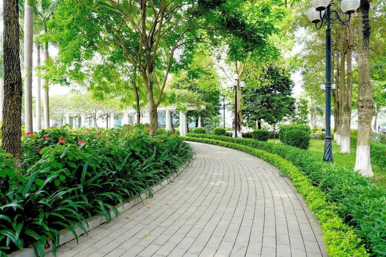 Lô góc đơn lập có 1-0-2 mua là thắng (anh chị xem là Mê) DT 300m2 - 48tỷ ,vip quá anh chị xem ngay