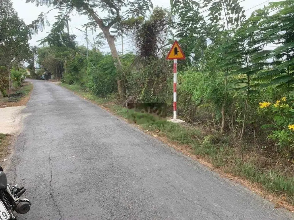 Bán đất lúa mặt tiền nhựa