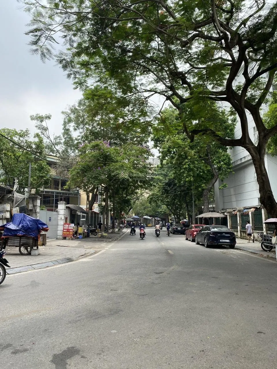 Bán gấp nhà phố Tạ Quang Bửu - ô tô đỗ cửa - giá chỉ hơn 8 tỷ - không có căn thứ hai