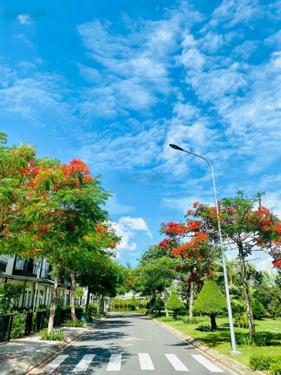 Mở bán 2 suất biệt thự ngoại giao Trần Anh Riverside, 8x14, 12x14. LH: 0902 396 ***