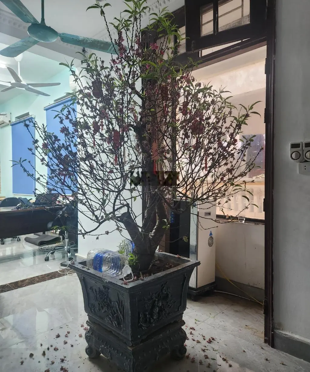 Bán Nhà Đường Trần Nguyên Đán, Định Công, Hoàng Mai, Hà Nội 35 tỷ, 122m2 view đẹp Hot!