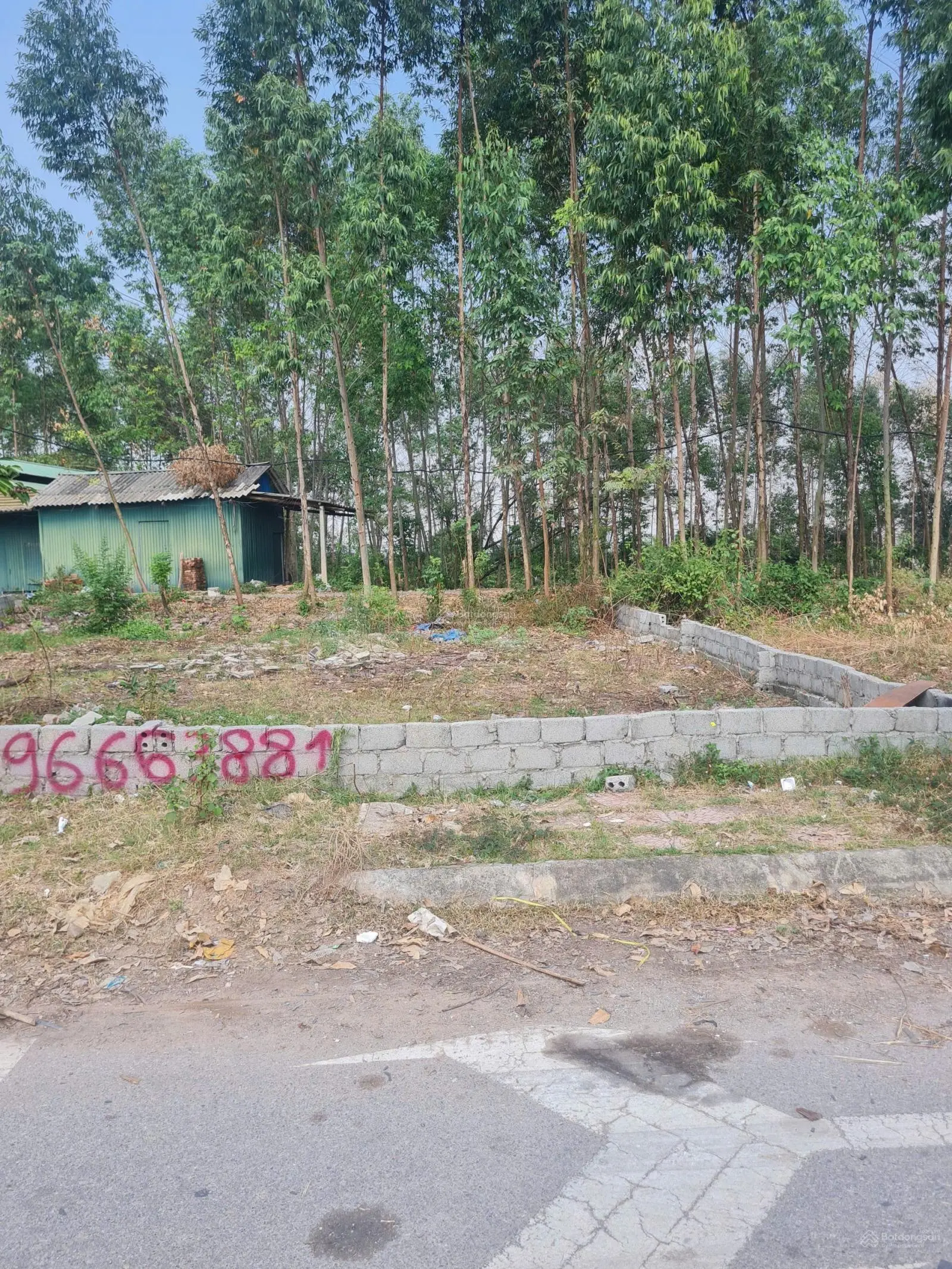 Bán biệt thự chợ Mía Tân Mỹ, Bắc Giang. 211m2, 3 mặt tiền. Giá 3.9 tỷ