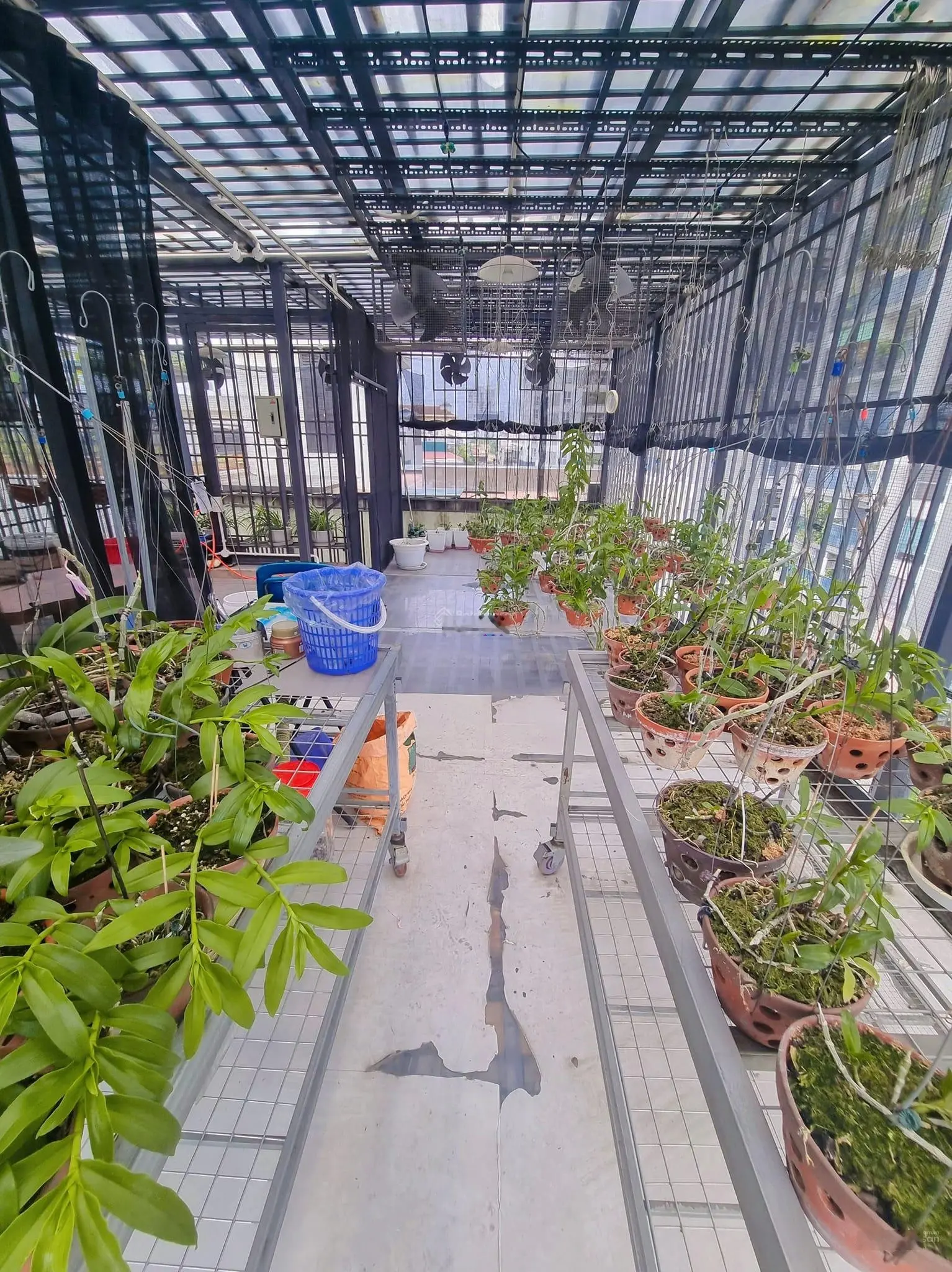 Biệt thự lô góg, đường Nguyễn Tuân, Quận Thanh Xuân, 117m2, 7 tầng, thang máy, giá thỏa thuận