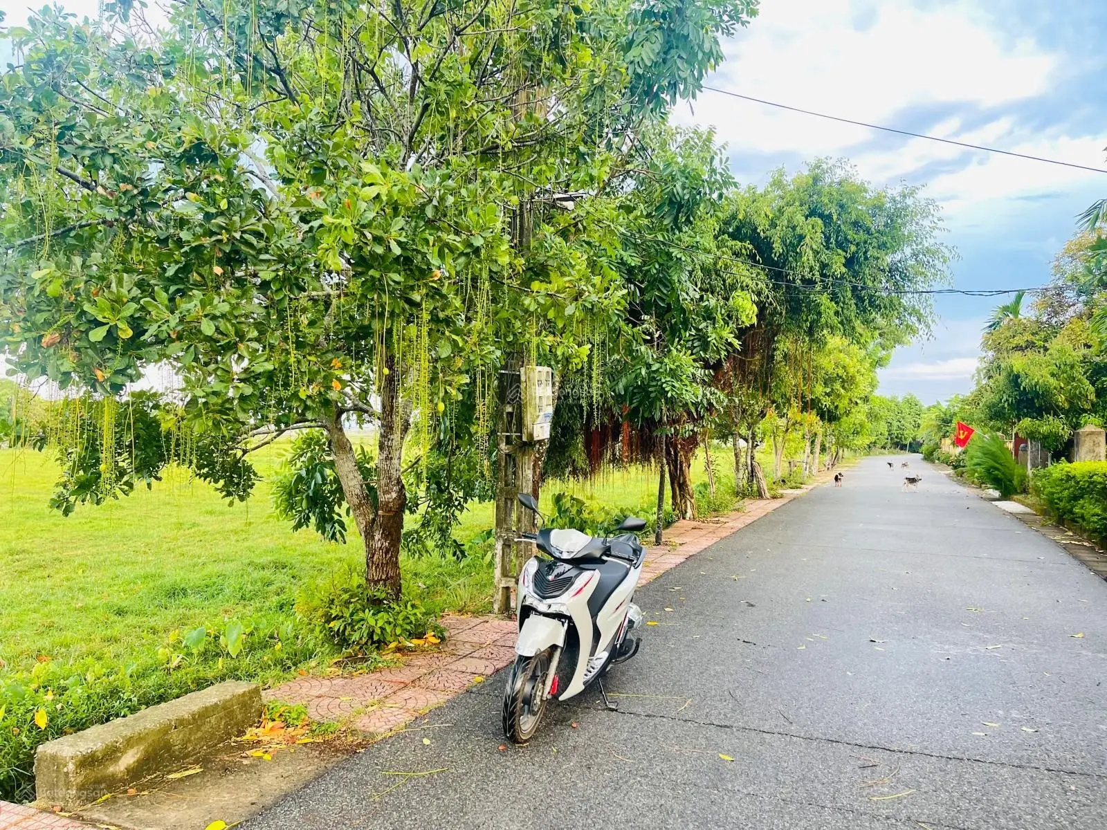 Bán lô đất thuộc xã Thạch Hạ TP Hà Tĩnh