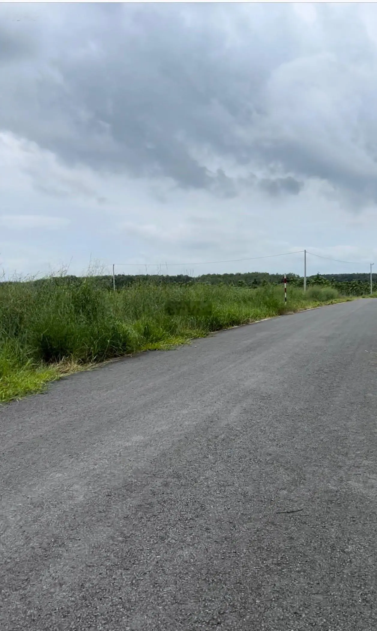 Bán đất đường Số 12 Nha Bích, 4000m2, lô góc 2 mặt đường nhựa 8m