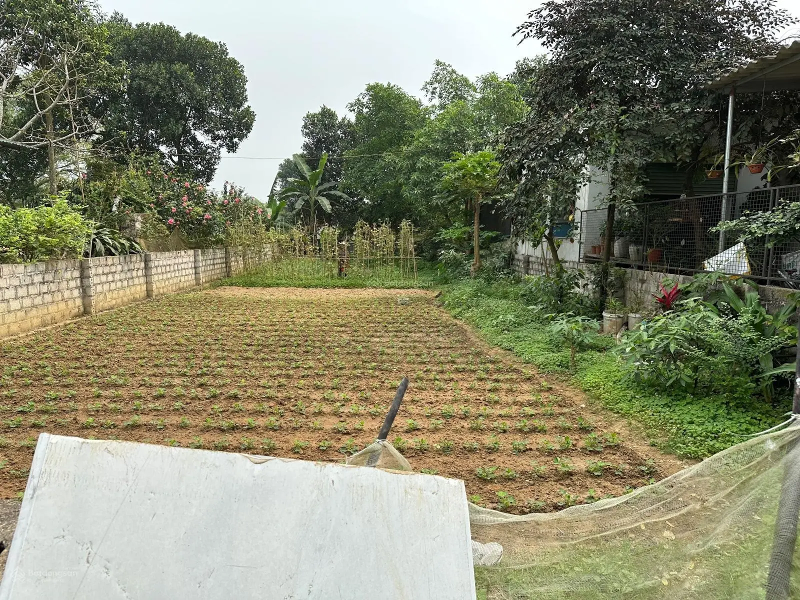 Cần bán gấp lô đất 299m2 tại Thuỷ Xuân Tiên giá chỉ vài triệu mét vuông