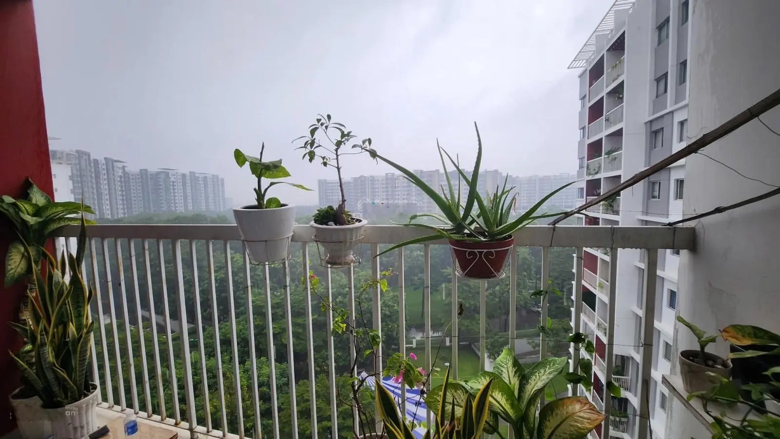 (CÓ SỔ HỒNG) Bán gấp Ruby có ban công 3PN-2WC (84m2) view hồ sinh thái, Giá: 3,950 Tỷ