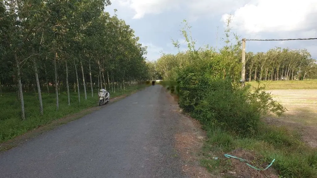 MT nhựa đường số 1, Phước Ninh, Dương Minh Châu, Tây Ninh.