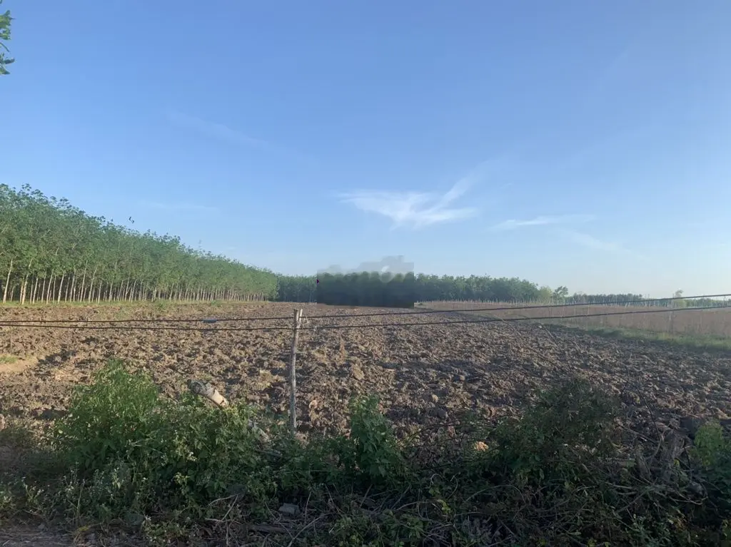 Bán 46.2ha 3 mặt tiền đất ở, mặt tiền đến 1000m, điện nước đầy đủ