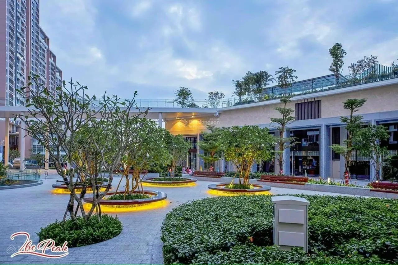 Bán siêu phẩm cặp đập thông The Peak 248m2 view trực diện sông, full nội thất cao cấp. Giá chỉ 24tỷ