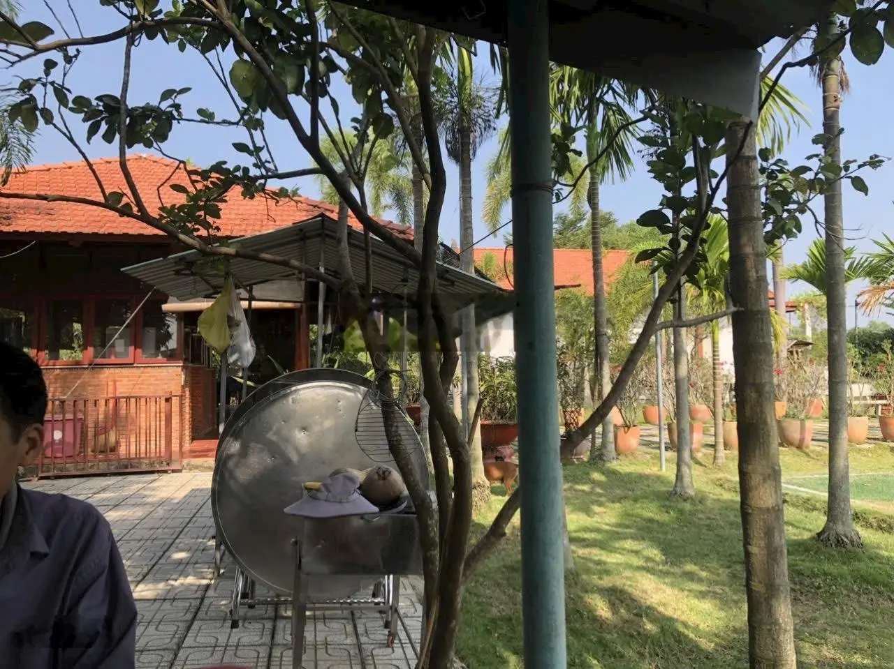Nhà vườn 7.800m2 gần sông Sài Gòn - Khuôn viên đẹp như resort