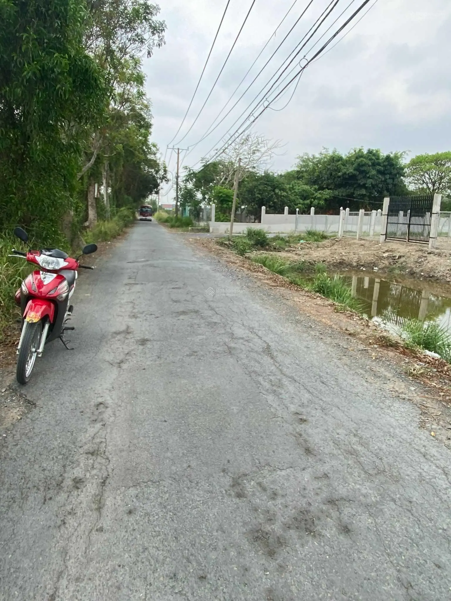 Bán đất 250m2 thổ cư MT Thích Thiện Hòa Bình Chánh