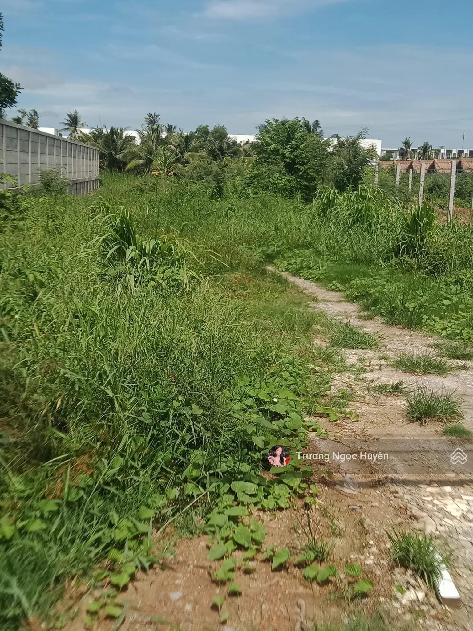 Sang nhượng lô đất Đ.Vườn Ổi, Phường 3 gần Công An Tỉnh Vĩnh Long 120m2 giá 550triệu.SHR
