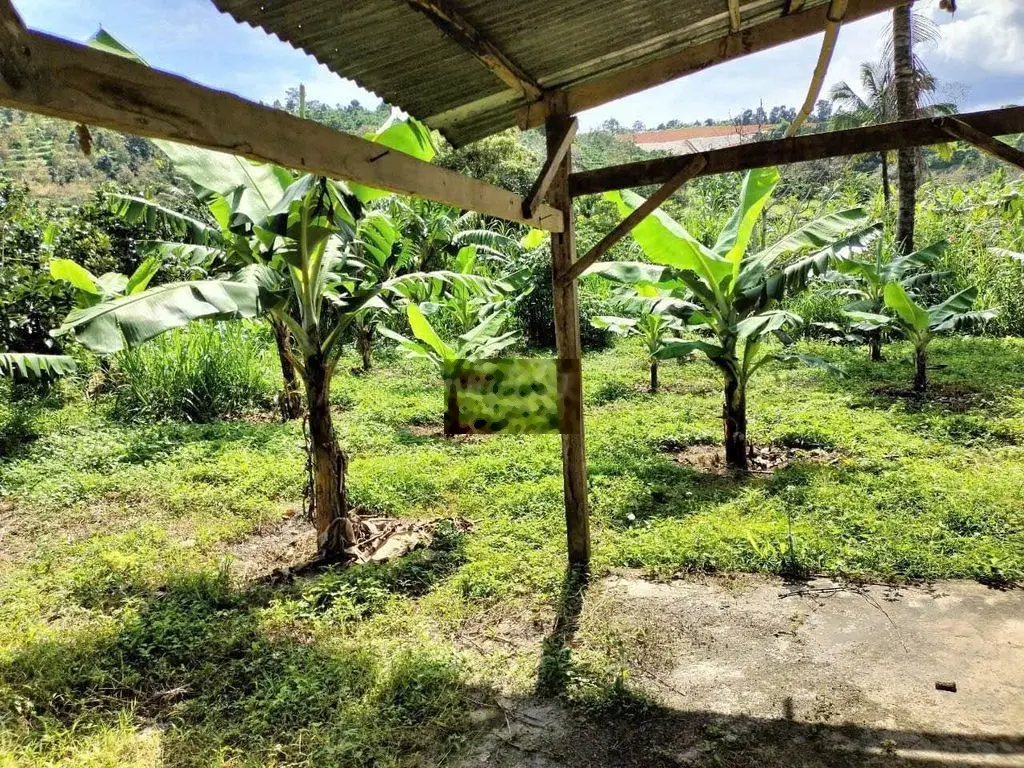 Mảnh đất diện tích Thổ cư 2600m . Mặt tiền đường 42m