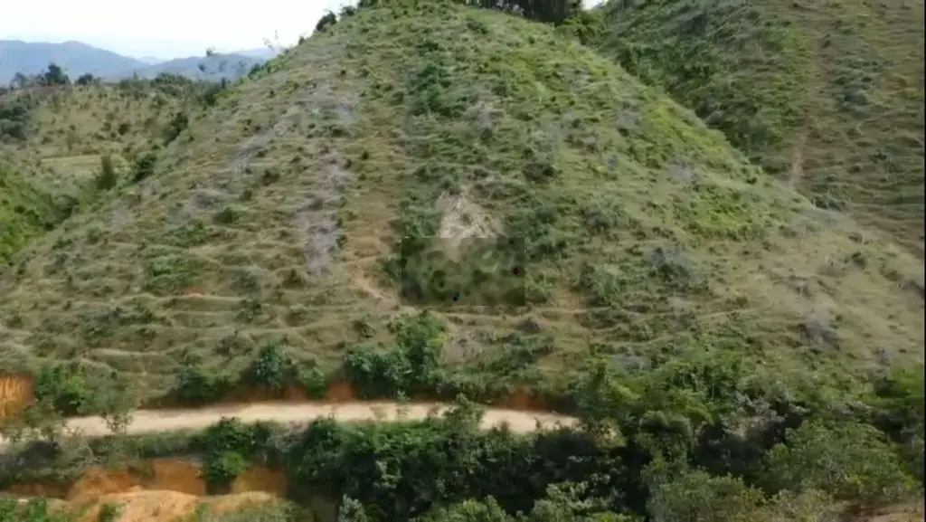 3.500m2, đất cây lâu năm, Đạ Tẻh, Lâm Đồng