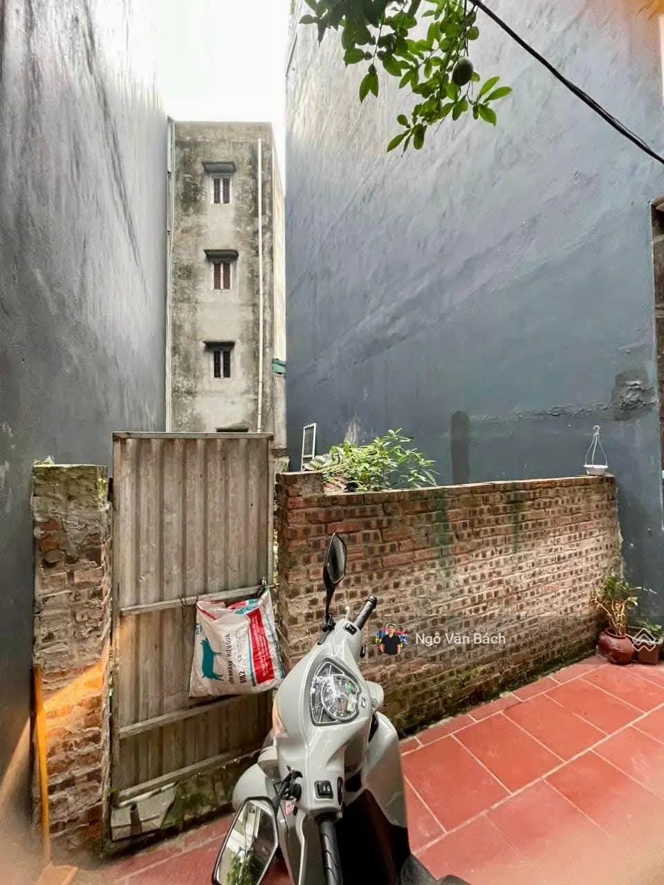 Bán đất hiếm Hồ Tùng Mậu, Cầu Giấy - 63m2, MT 6.3m - Lô góc, ô tô vào nhà đỗ ngày đêm, nhỉnh 8 tỷ
