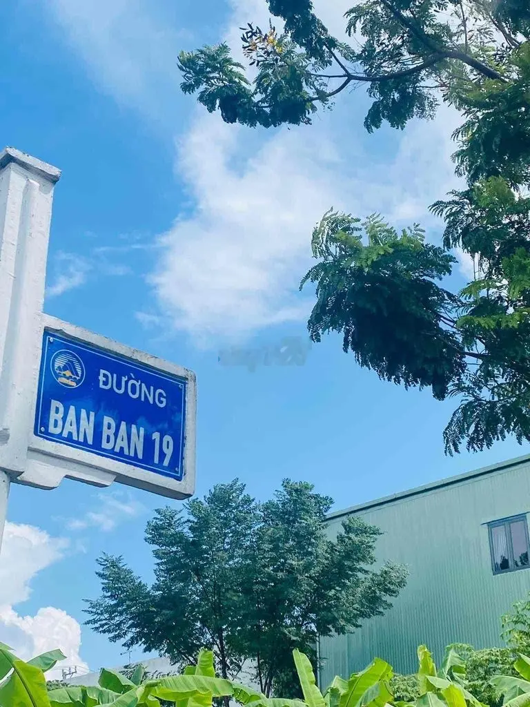 Chào bán Tái Định Cư Bá Tùng 3 Hoà Quý gần Công Viên giá RẺ