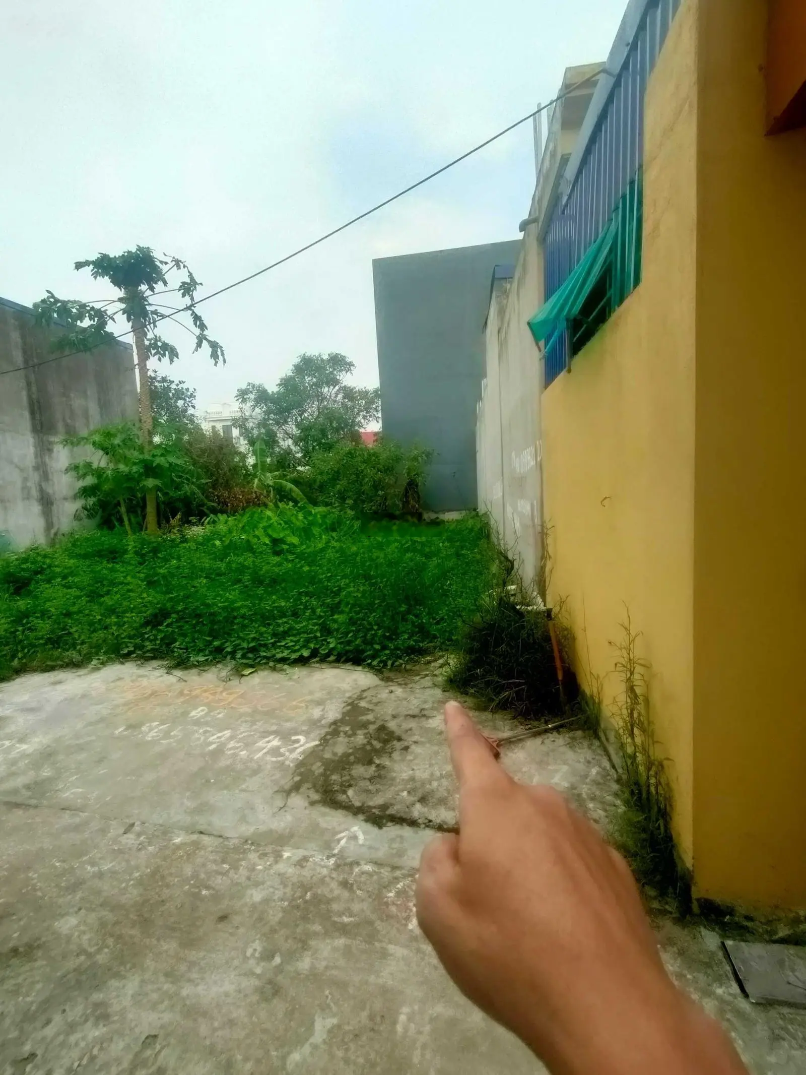 80m Vĩnh Khê, An Đồng, An Dương ô tô vào tận đất Giá 1,85 tỷ, gia chủ bảo thỏa thuận thoải mái