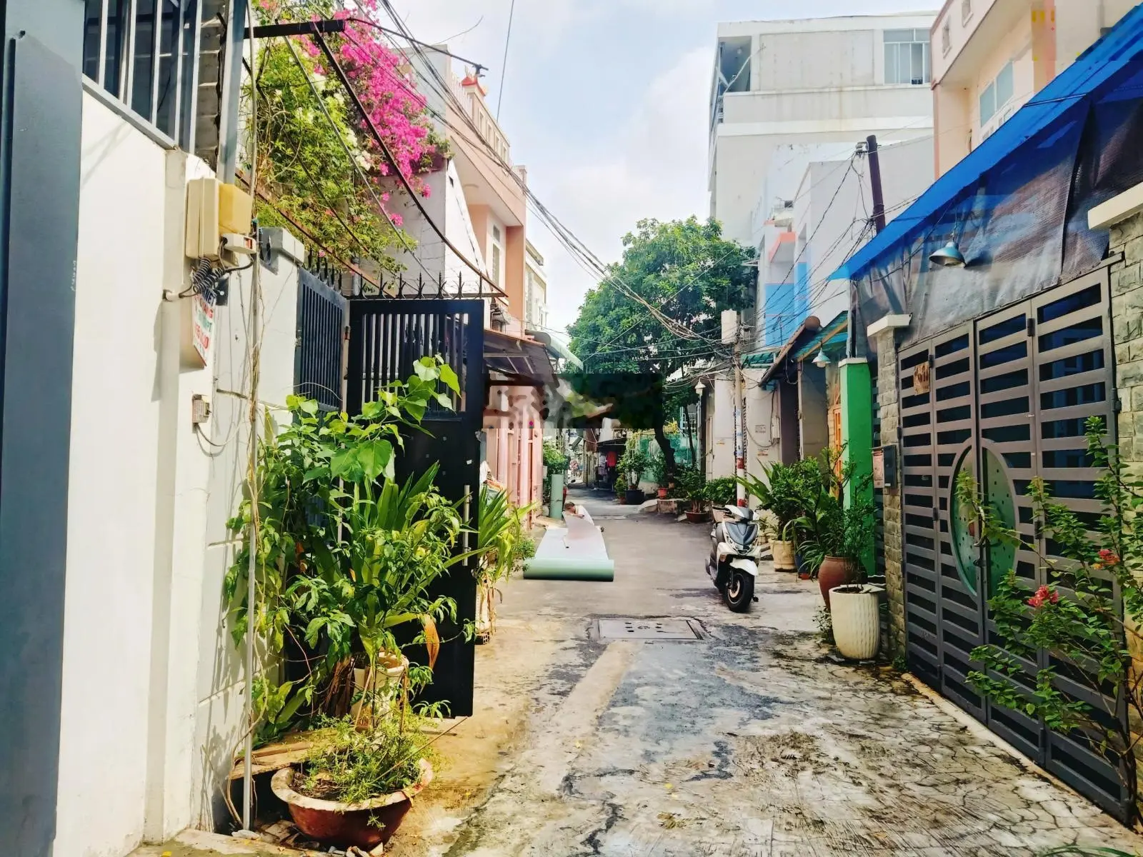 Nhà đẹp 4 tầng Nguyễn Thị Thập, sát hẻm xe hơi oto, ra gấp chỉ nhỉnh 8tỷ