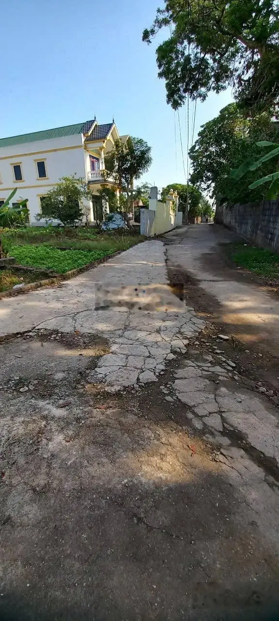 Bán đất Thôn Tân Hưng xã Hùng Cường, TP Hưng Yên, Hưng Yên