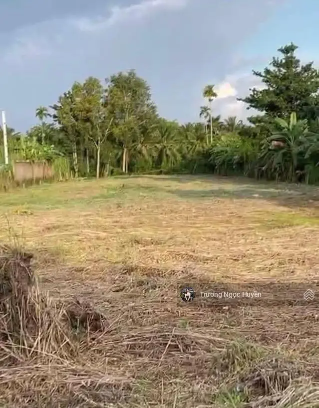 Cần bán đất Đ. Huỳnh Tấn Phát, Hiệp Ninh, gần Bệnh Viện Y Học Cổ Truyền Tây Ninh 120m2/550tr. SHR
