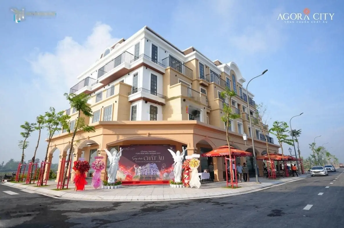 Bán đất nền dự án tại Thủ Thừa Phú Thanh, giá chỉ 16 triệu/100m2