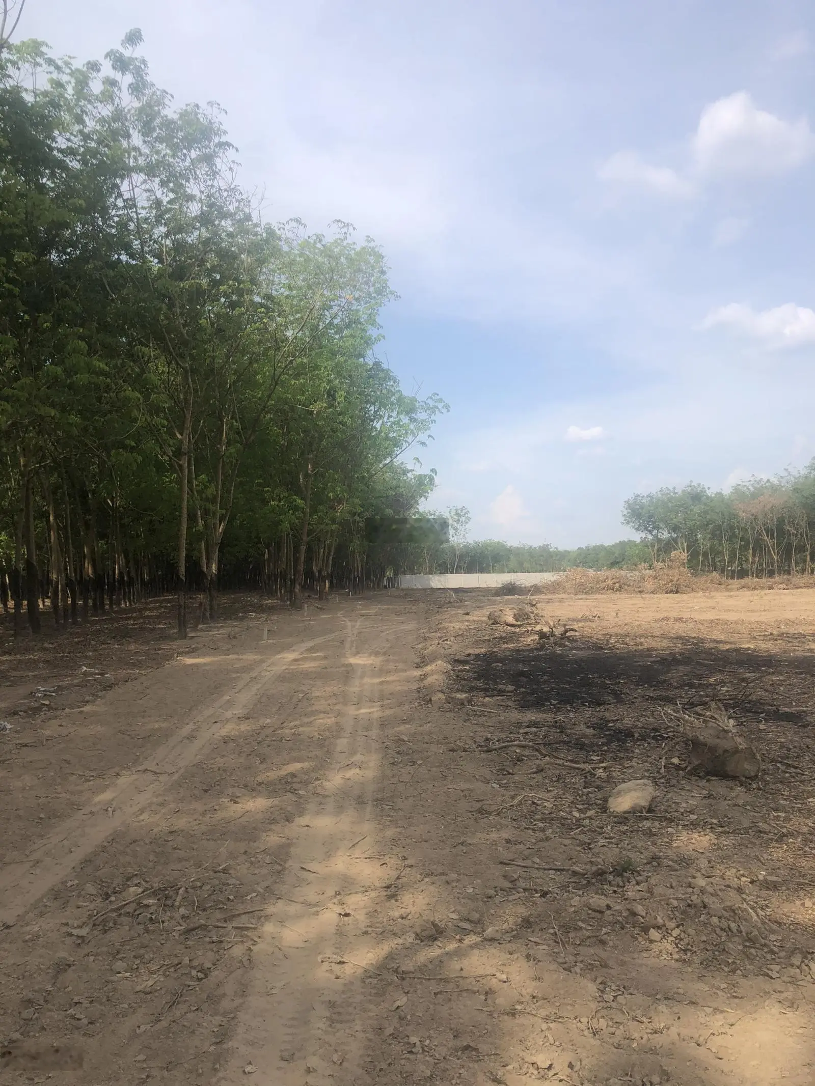 Bán đất 2 mặt tiền giá 10,49 tỷ, diện tích 5168 m2, tại Bến Tượng, Lai Hưng, Bàu Bàng, Bình Dương