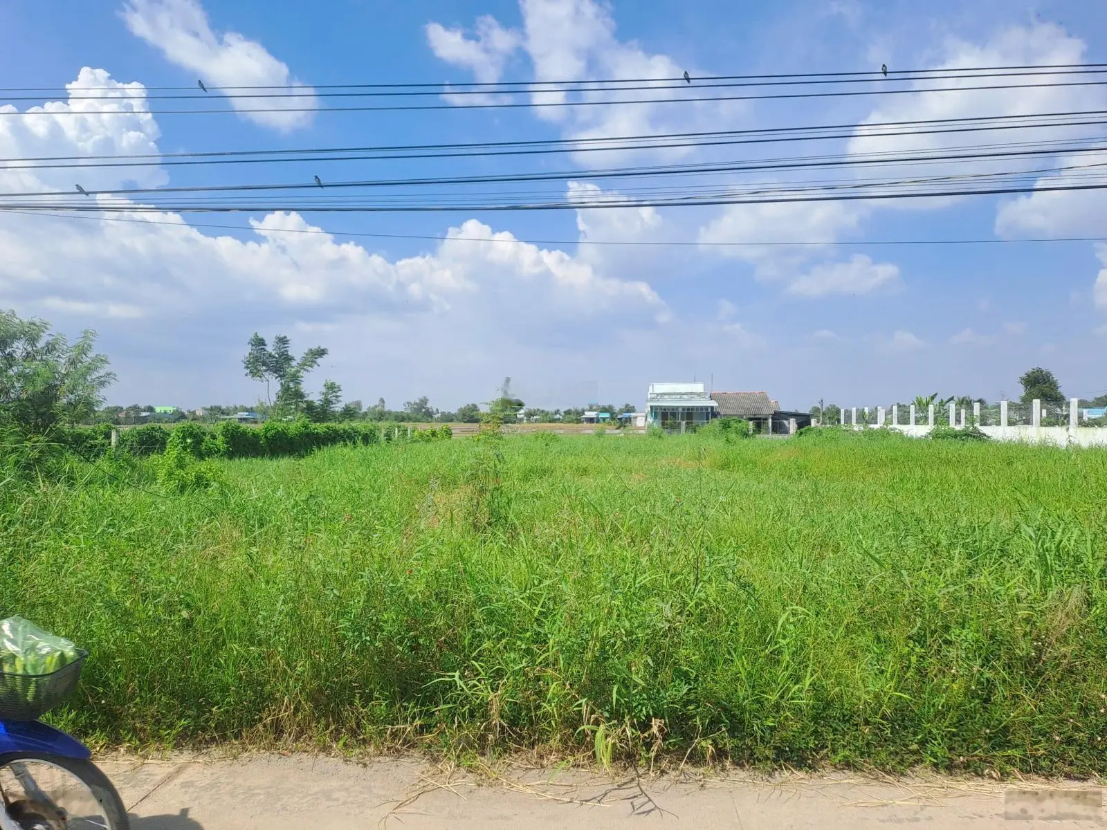 Cần bán đất thổ cư mặt tiền đường xe tải lớn chạy, khu đông dân, giá rẻ