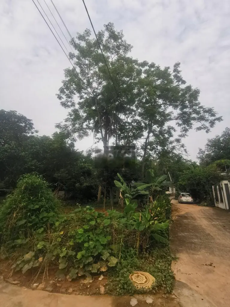 Bán đất tại Quang Trung, Tuyên Quang. Diện tích 315m2