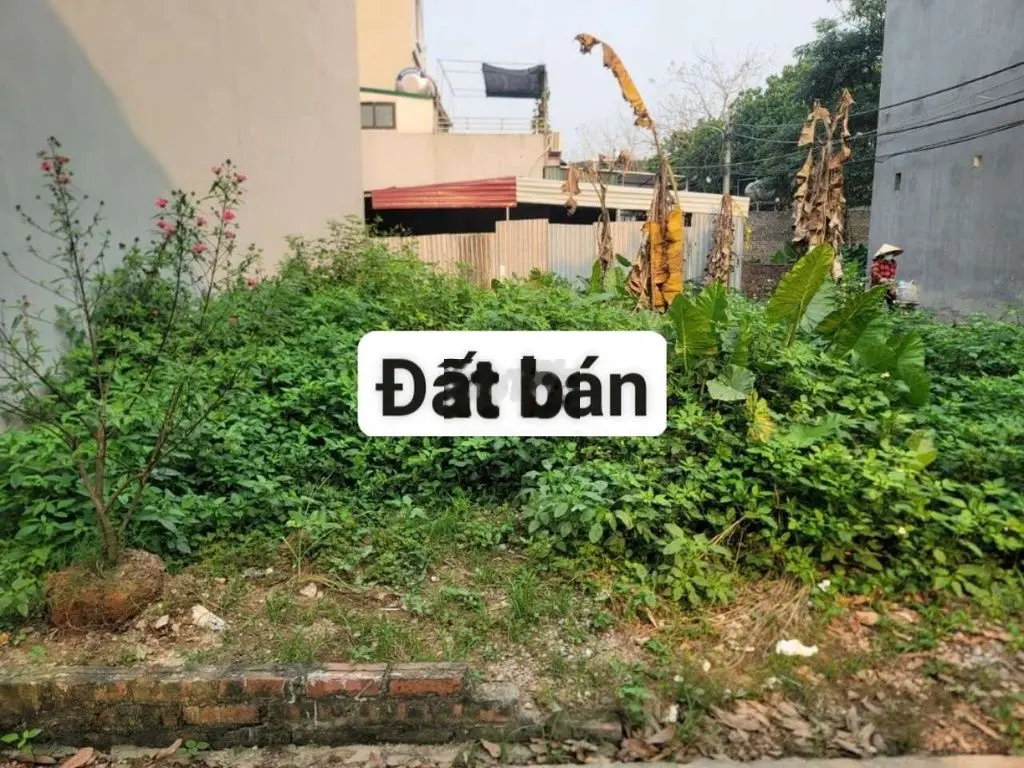 3 ô tô tránh bìa làng tằng my nam hồng