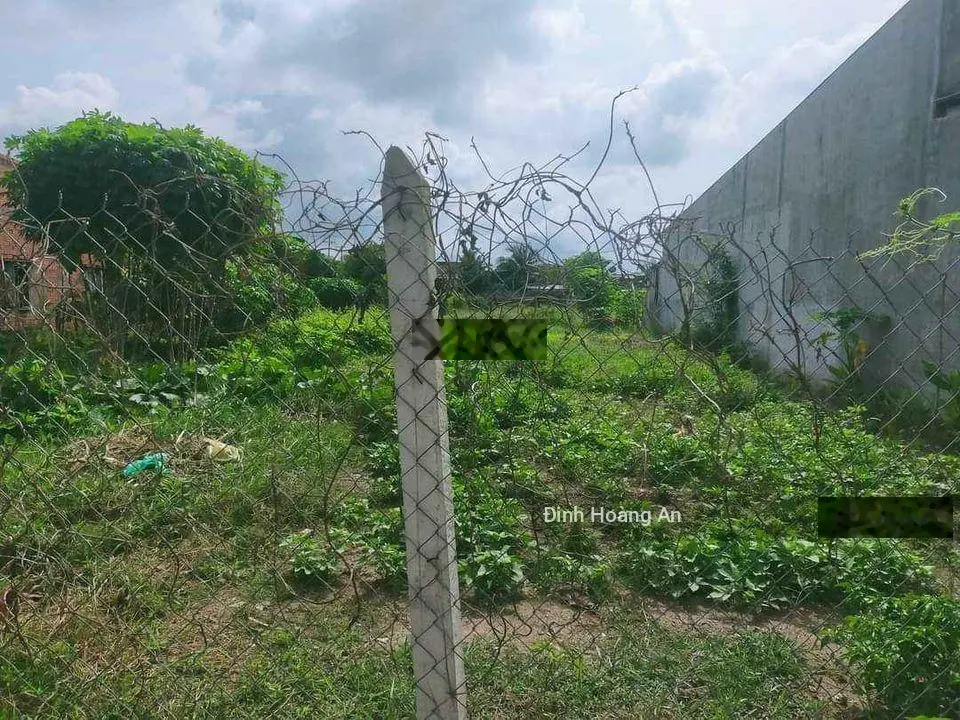 Tôi Muốn Bán Gấp Đất Ngay Trường Chính Trị, Đ. Trần Văn Bảy, P3, Sóc Trăng, 120m2/600tr, Sổ Riêng