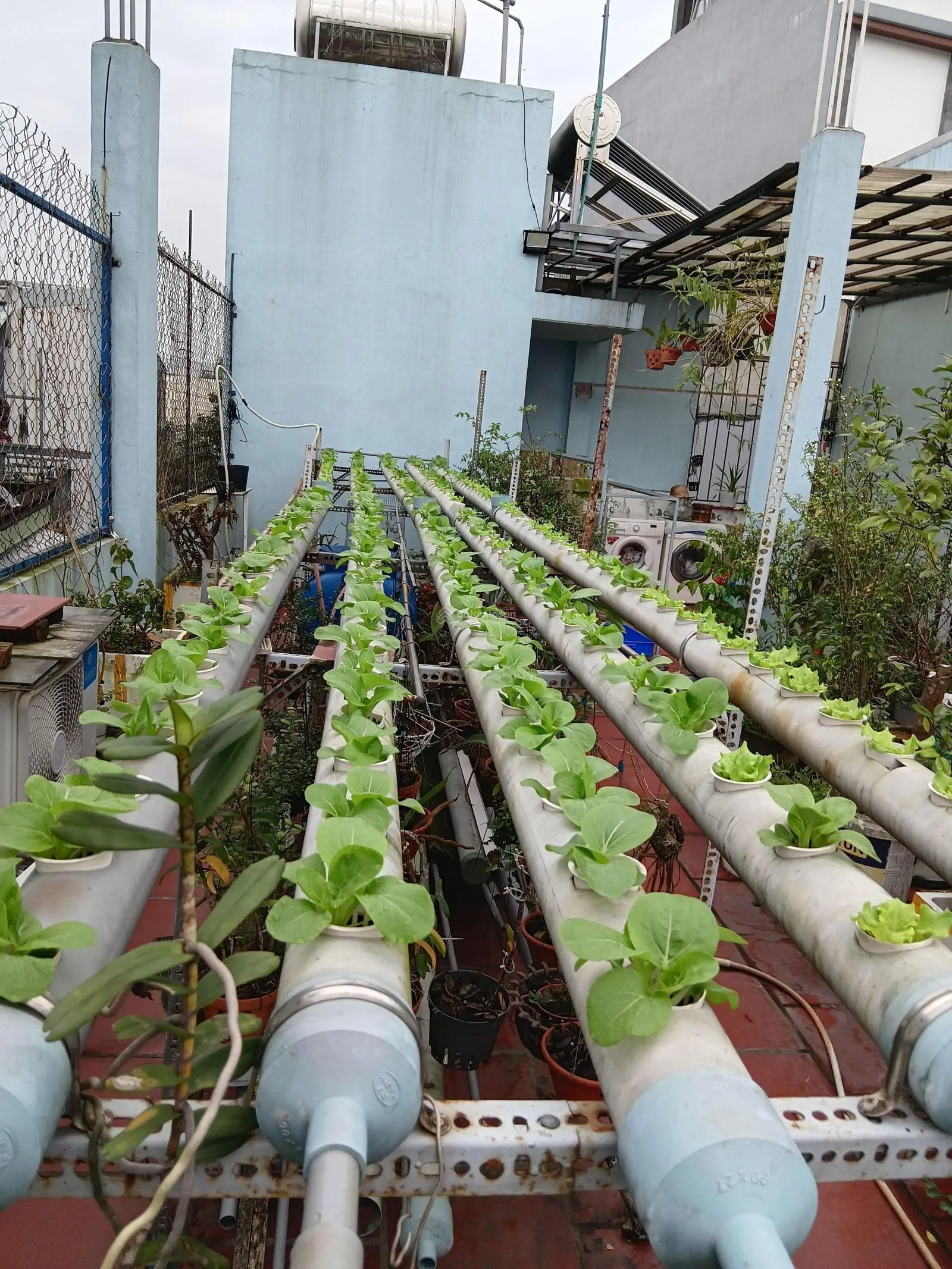 Nhà 2 TẦNG mặt tiền TRƯỜNG CHINH dtsd 120m2,Full NỘI THẤT, 3 Phòng ngủ