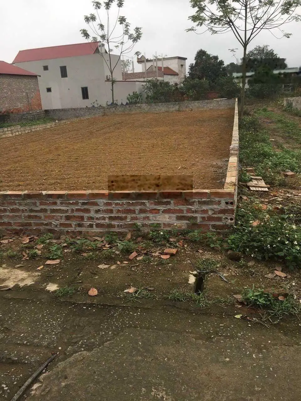 Bán lô góc 150,6m2 tại thôn Miễu - Tiến Xuân