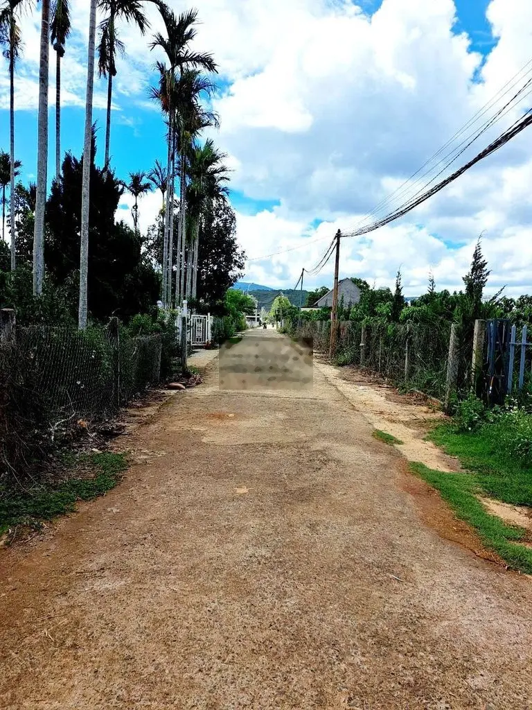 ✅️Gần 1000m Tà Nung- Gần KDL Mongoland view rừng thông🌳