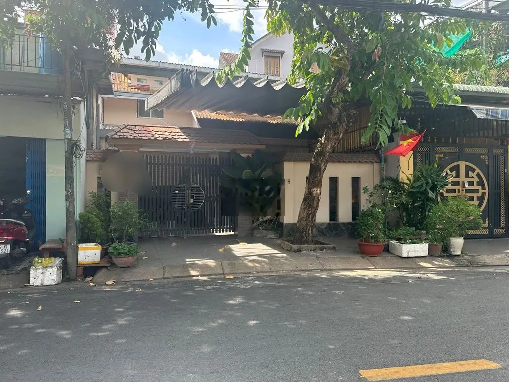 MT Hoàng Thiều Hoa 8x13.5 , cấp 4