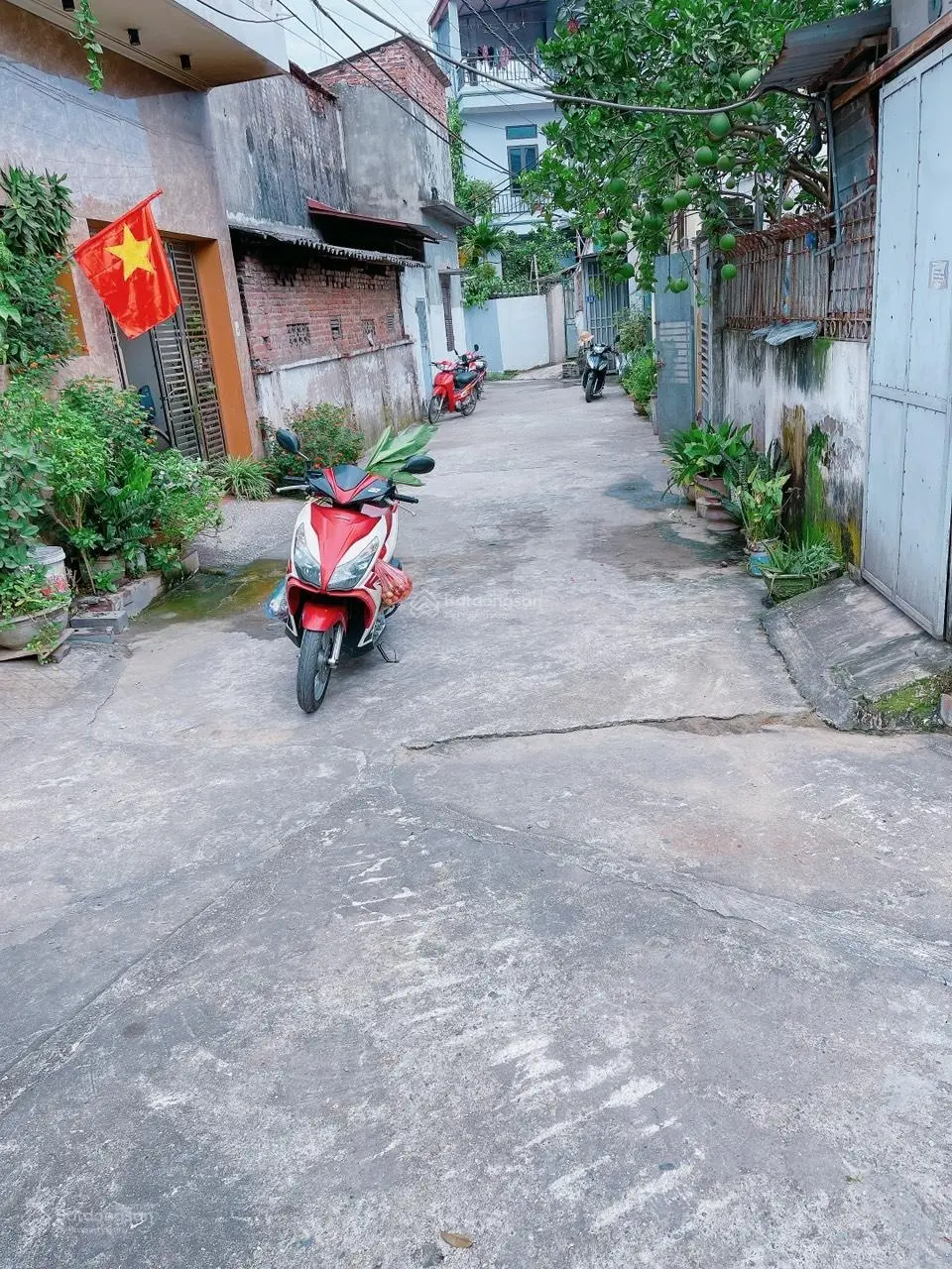 Bán đất Đại Phùng Đan Phượng Vị trí trung tâm gần trường, chợ, Oto ra vào thoải mái 46.6m2