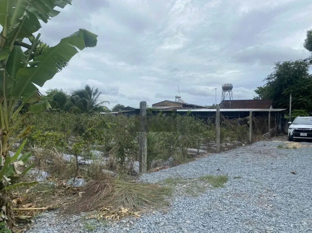 Bán nhanh lô đất thổ cư, 250m2 phường An Tịnh, ngay cạnh chợ l