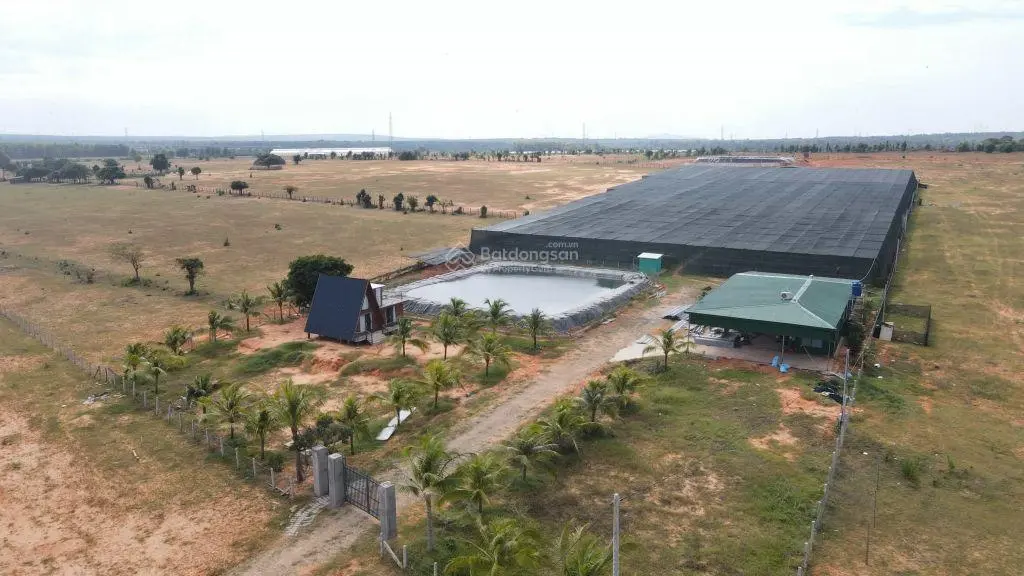 Cần bán lô đất thủ phủ farm Hòa Thắng - Đà Lạt thu nhỏ - 4831m2 - 1tr/m2 - 0978 609 ***