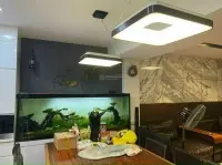 Quận Bình Thạnh chỉ còn 1 căn duy nhất giá 3TỈ09 Ngay Trần Văn Kỷ 54m2-3tầng-3pn.SHR goi ngay KHÔI