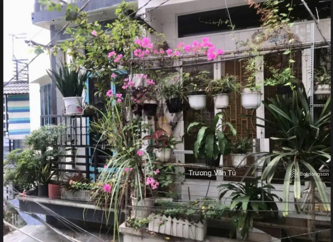Cơ hội sở hữu nhà 3 tầng đẹp đón xuân, hbg, hồ biểu chánh, p. 11, quận gò vấp. giá: 3.39 tỷ (tl)
