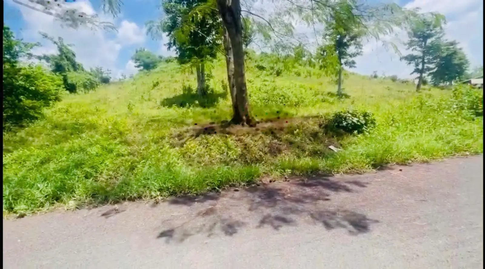 Cần bán 7.709m2 đất mặt tiền đường nhựa cách hồ Bà Tô 4km giá ngộp ngân hàng - LH: 0909 124 ***